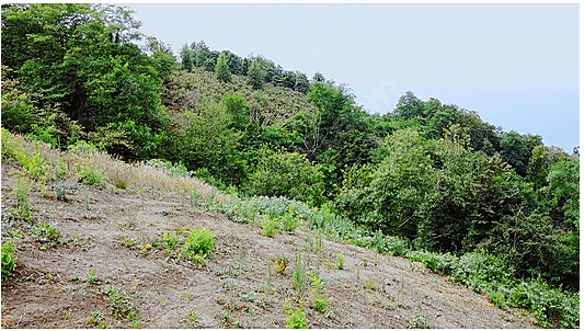 MABEL ,DEN ÇAYTEPE MH.BOSTA MEVKİSİNDE DENİZ MANZARALI ARSA